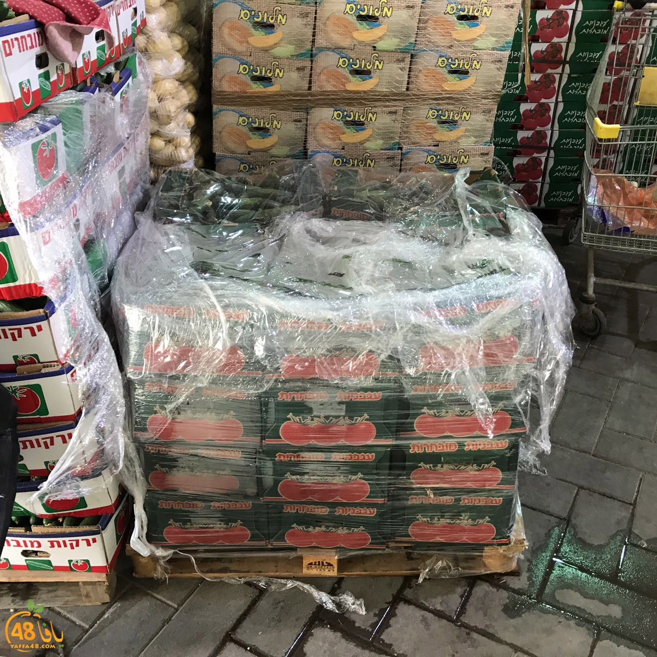 jam3iya ftotdord (24).jpg